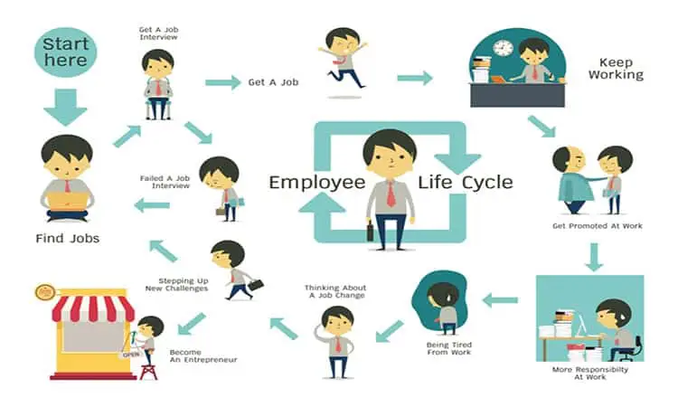 Employee Life Cycle Management with HR Responsibilities