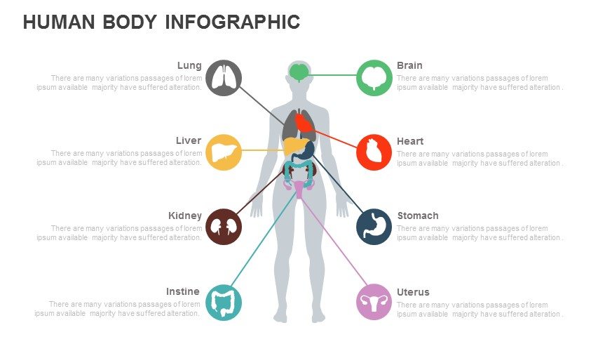 Human Body PowerPoint Template