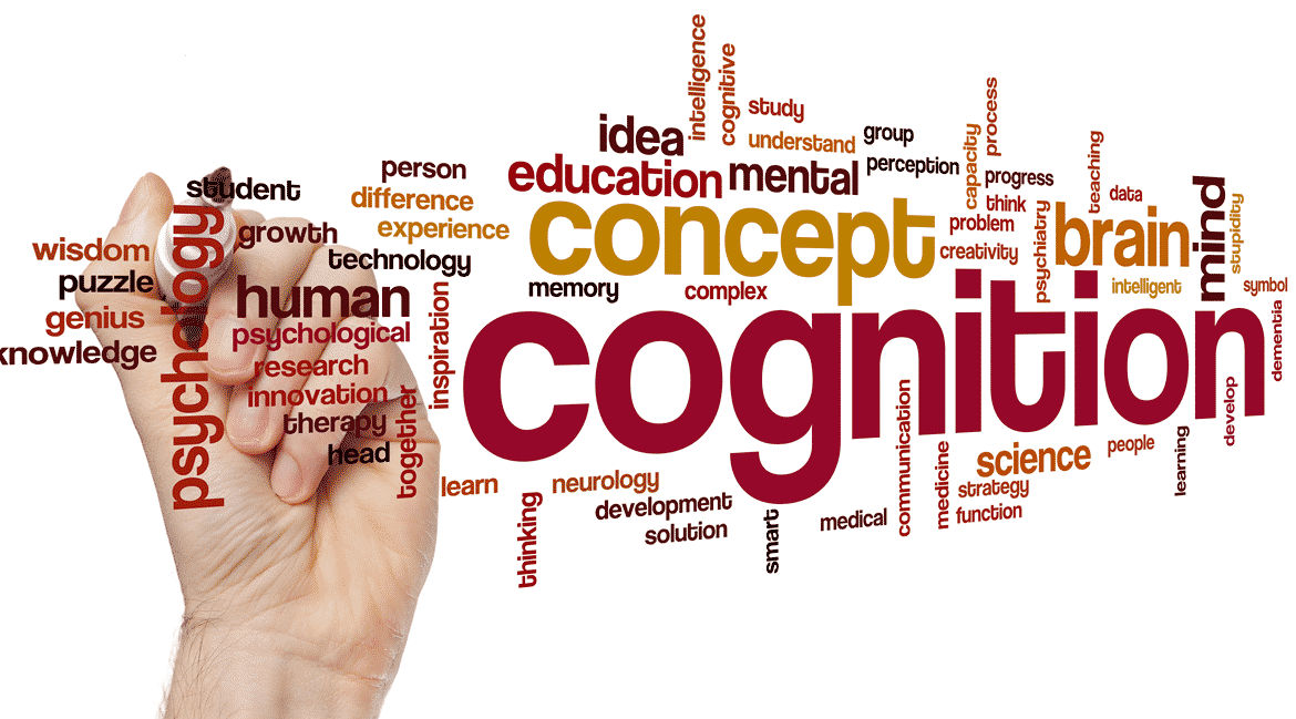 cognitive-components-of-learning-process-slidebazaar-blog