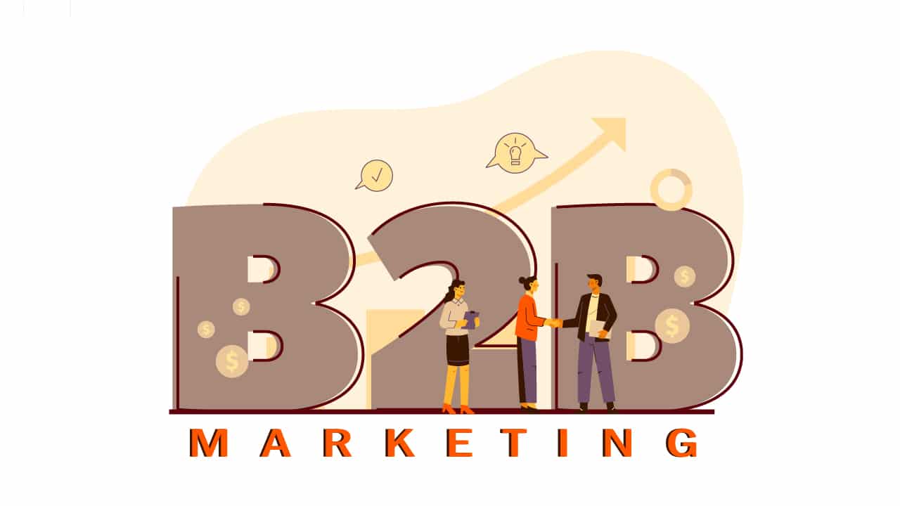 b2bimag 1