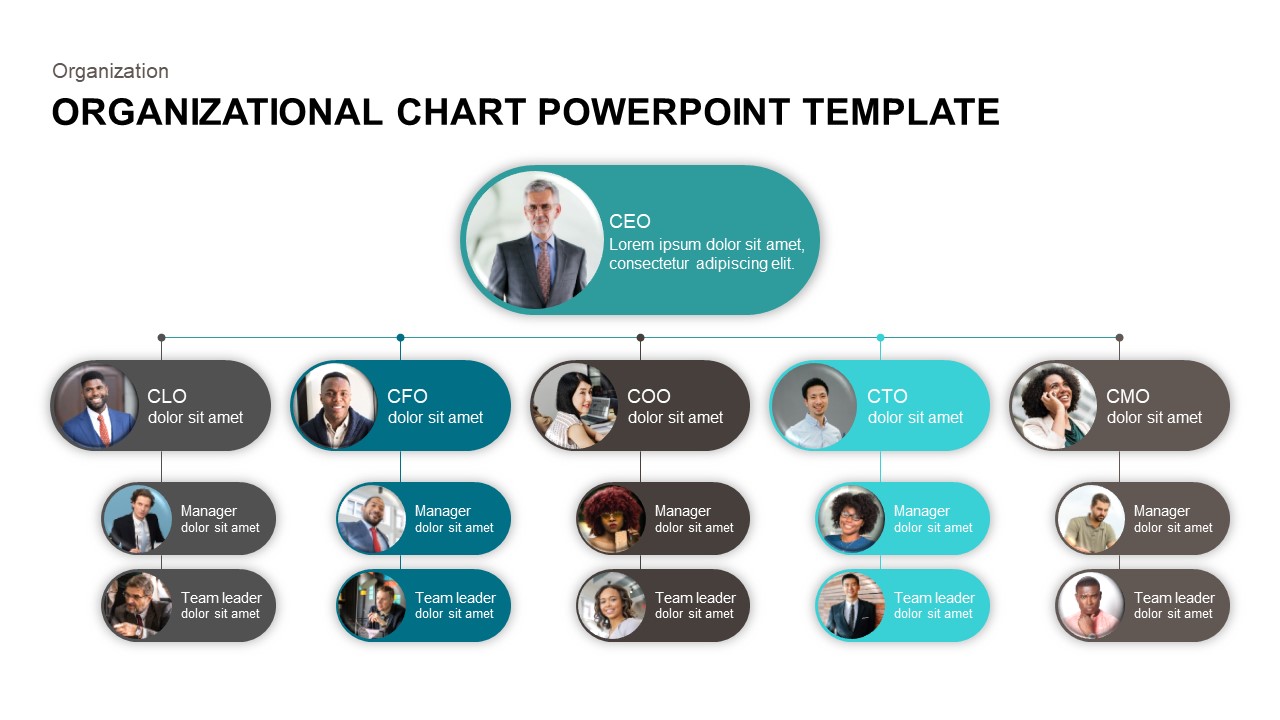 Best Org Chart Templates for PowerPoint | SlideBazaar