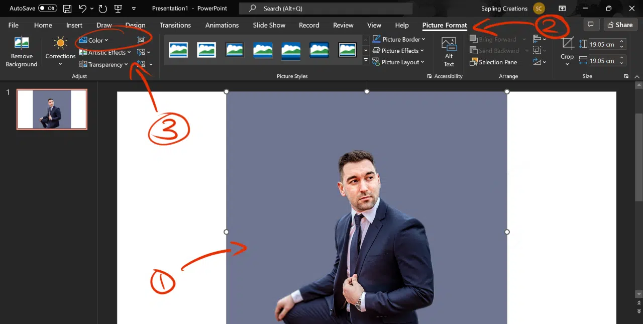 How to remove background from picture in PowerPoint