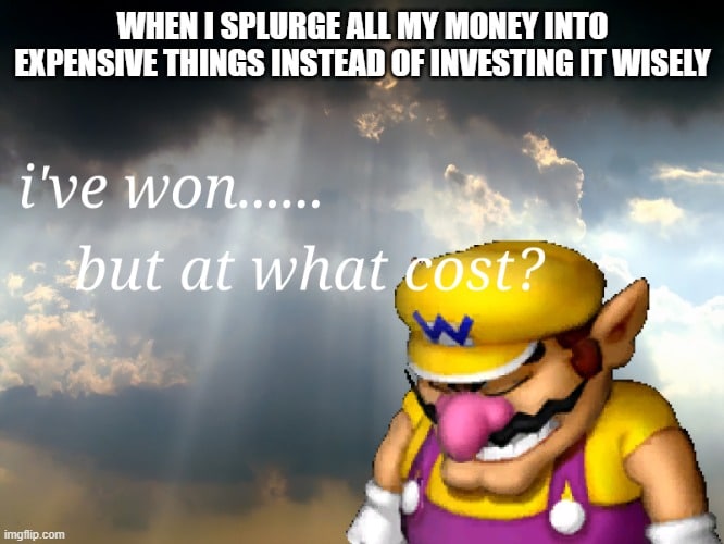 Opportunity cost explained with a meme