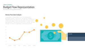 Budget Flow Representation Template