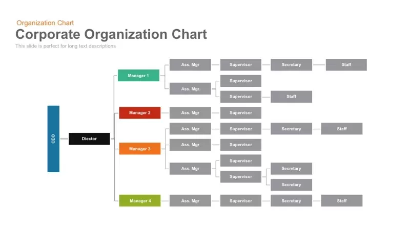 Corporate Organization Chart