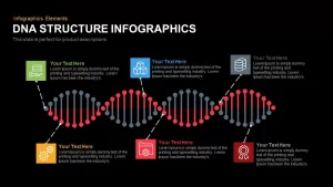 Dna Structure Infographics Powerpoint Keynote template