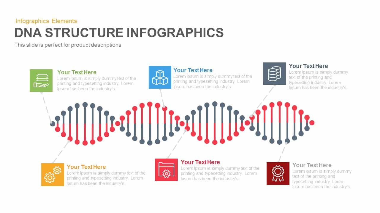 DNA structure powerpoint template and Keynote Slide
