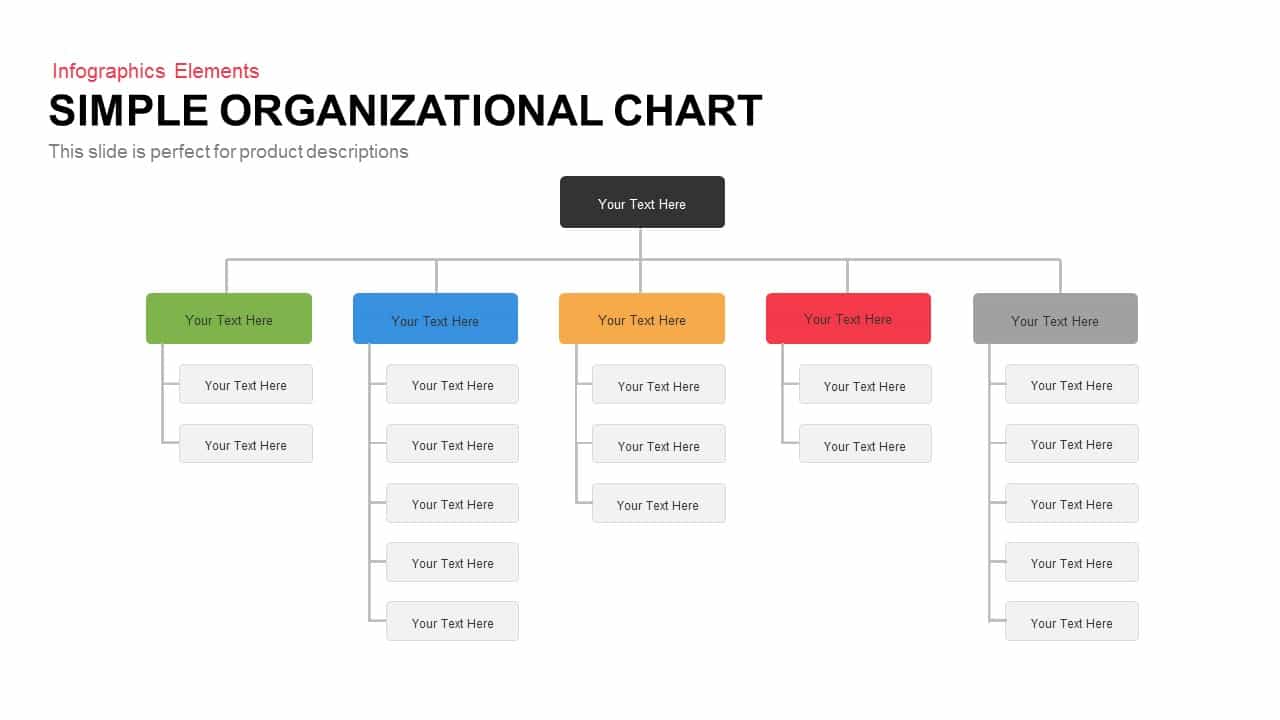 Basic Organizational Chart Template