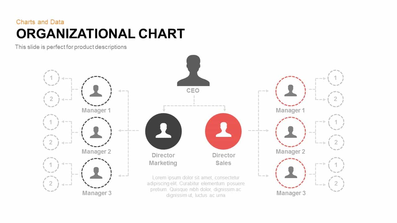 Organizational Chart Powerpoint Templates Slidebazaar 5319