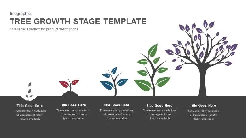Tree Growth Stage PowerPoint Template and Keynote