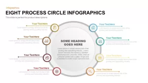 8 Process Circle Infographics PowerPoint Template