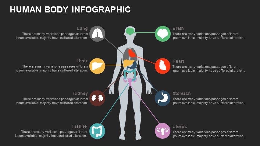 Human Anatomy Infographic Powerpoint Template and Google Slides Theme