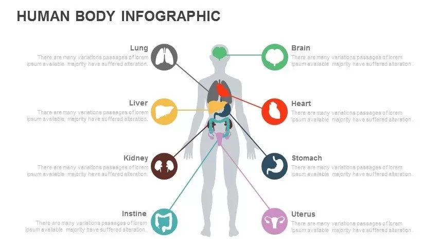 human body PowerPoint template