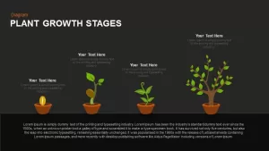 Plant Growth Stages Powerpoint and Keynote template