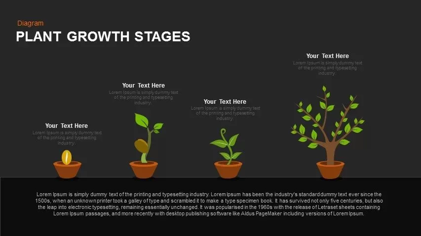 Plant Growth Stages Powerpoint and Keynote template