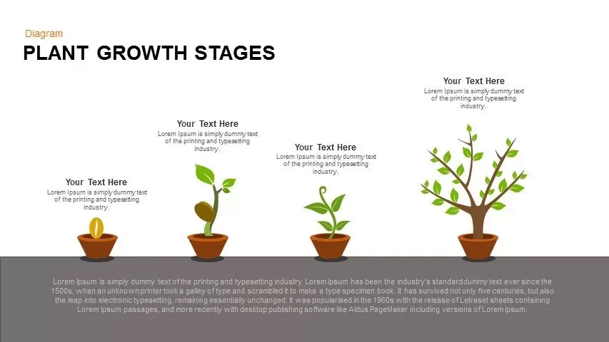 Growing plant PowerPoint template