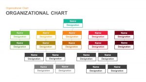 Organizational Chart Hierarchy Templates for PowerPoint and Keynote