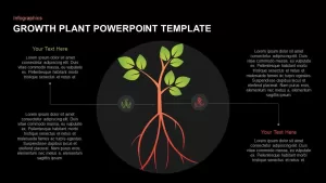 Plant growth template for PowerPoint and keynote