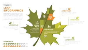 Infographic Leaf PowerPoint Template and Keynote Slide