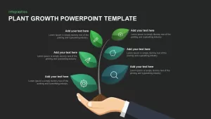 Plant growth template for PowerPoint and Keynote