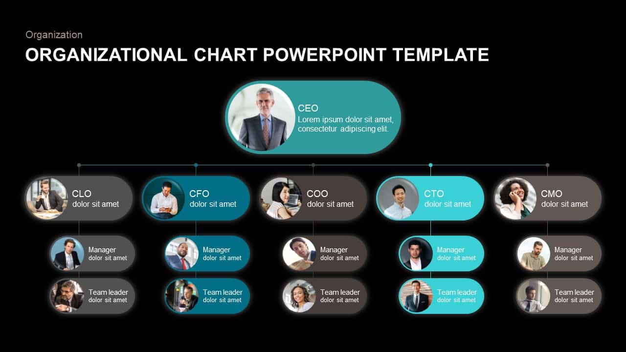 org chart template powerpoint