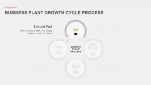 Business Growth Plant Infographics