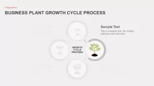 Business Growth Plant Infographics