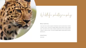 wildlife photography template