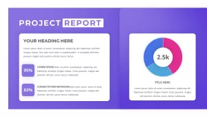 project report