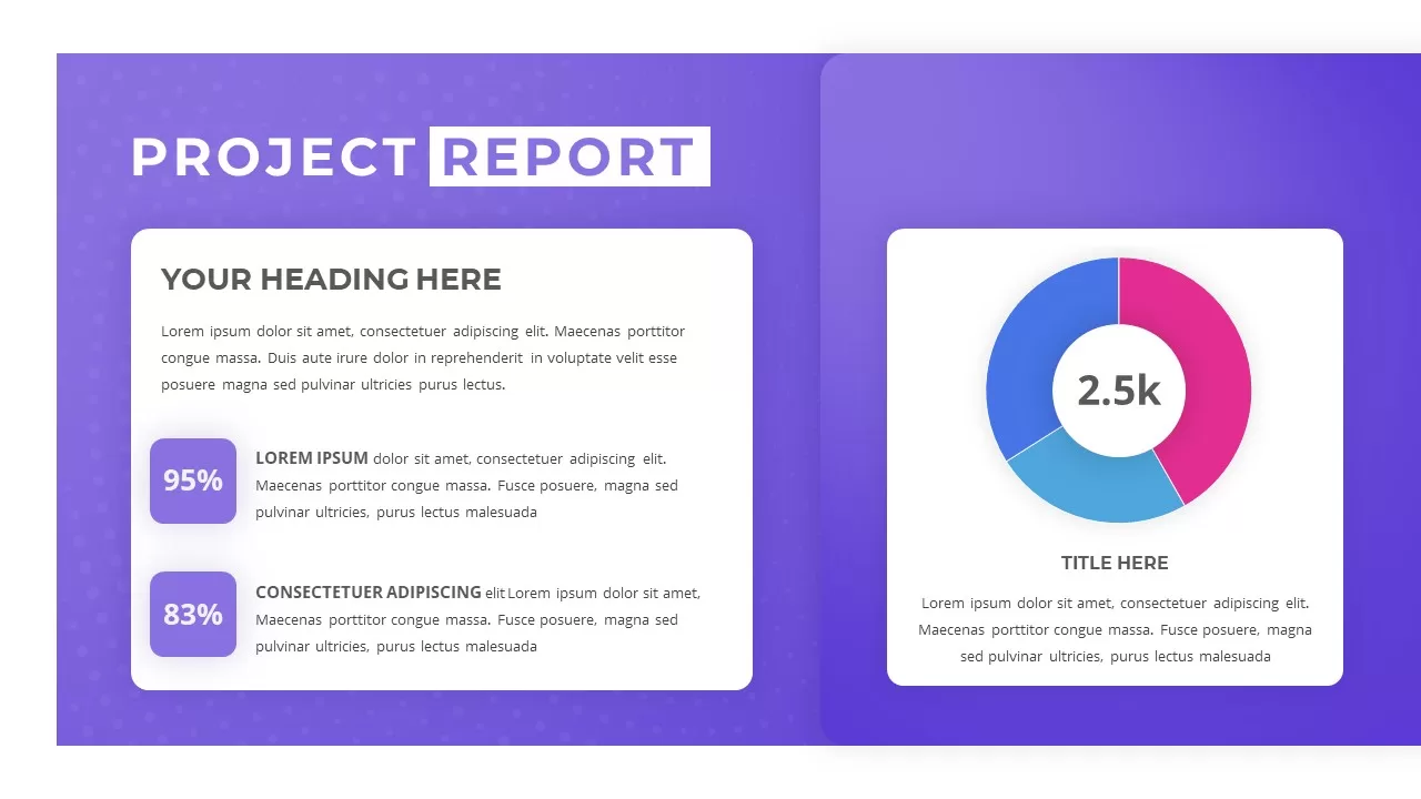 project report