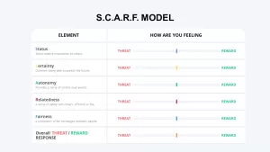 scarf model elements &amp; feelings