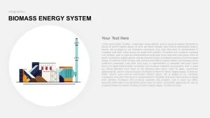 biomass energy system