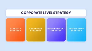 Corporate Level Strategy Template