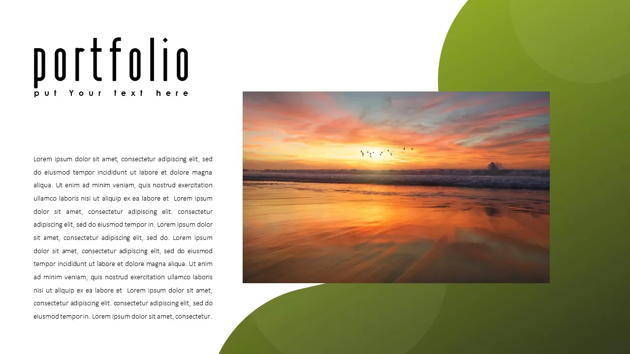 portfolio ppt