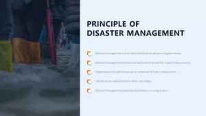 principle of disaster management