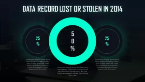 data record lost or stolen in 2014