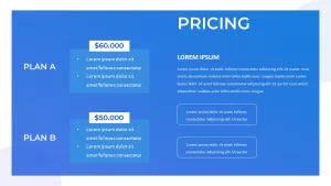 pricing