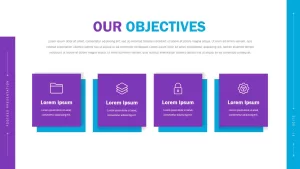 our objectives