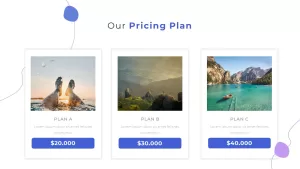 pricing plan