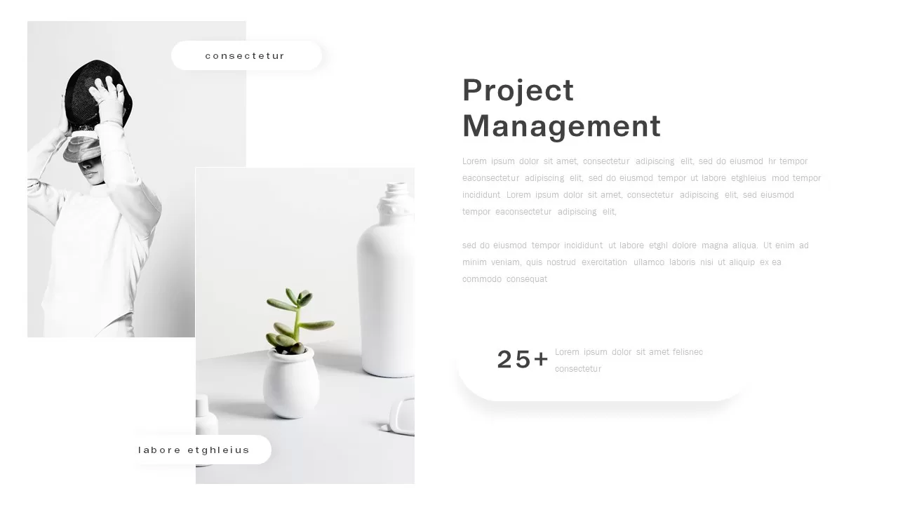 project management