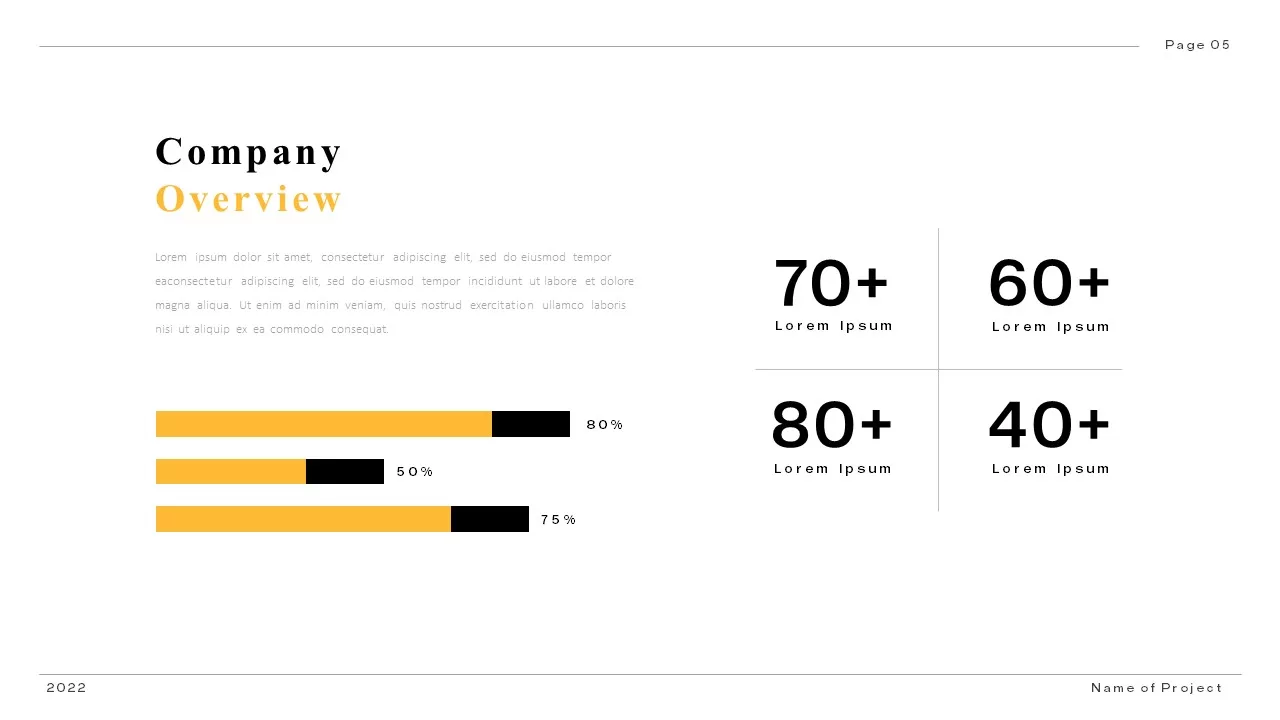 company overview