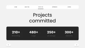 projects committed