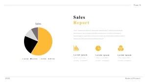 sales report