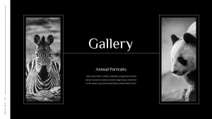 gallery photography portfolio template