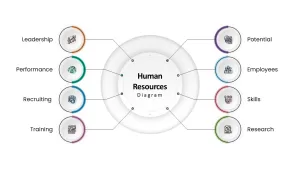 Human Resources Diagram