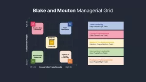 blake mouton managerial grid