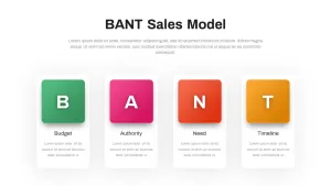 bant-sales-model