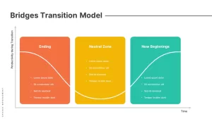 bridges-transition-model