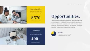 business-opportunities