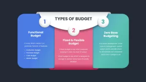 how many type of budget